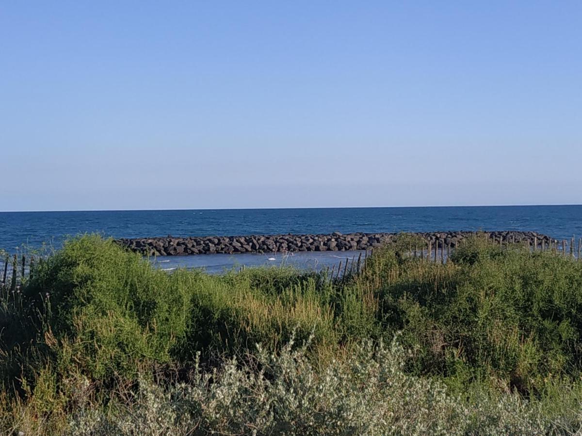 Appartement, Vue Sur Mer, Acces Direct Plage, Piscine فيا المظهر الخارجي الصورة
